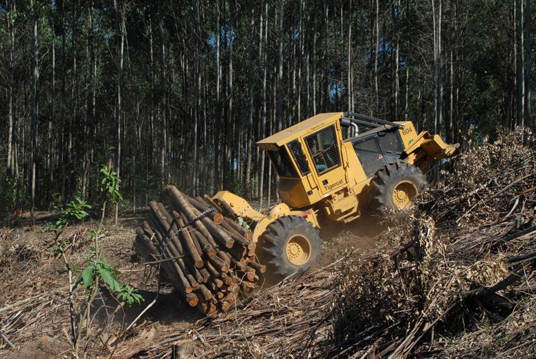 Tigercat 604C